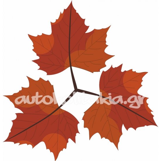 Αυτοκόλλητο βιτρίνας - Φθινοπωρινό 45