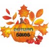 Autumn sale sticker - Sales 18