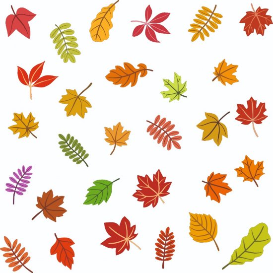 Αυτοκόλλητο βιτρίνας - Φθινοπωρινά Φύλλα 2 (Σετ 30 φύλλα) Αυτοκόλλητο βιτρίνας - Φθινοπωρινά Φύλλα 2 (Σετ 30 φύλλα)