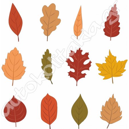 Αυτοκόλλητο βιτρίνας - Φθινοπωρινό 46