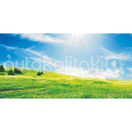 Πίνακας σε καμβά - Λιβάδι