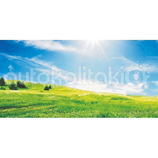 Πίνακας σε καμβά - Λιβάδι