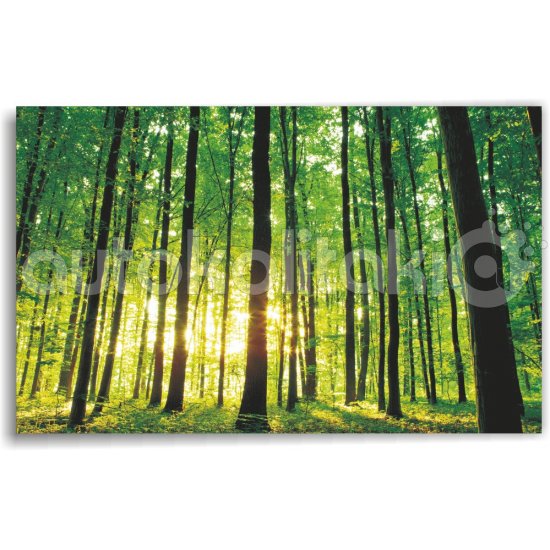 Πίνακας σε καμβά - Πυκνό δάσος