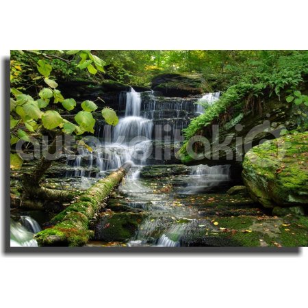 Πίνακας σε καμβά - Καταρράκτης και δέντρα