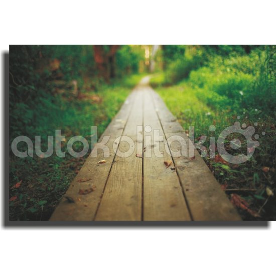 Πίνακας σε καμβά - Ξύλινο μονοπάτι