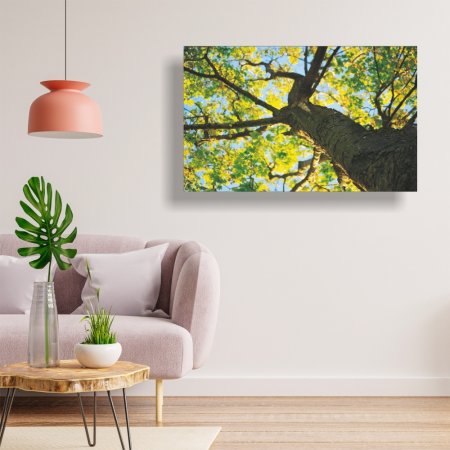 Πίνακας σε καμβά - Κορμός δέντρου