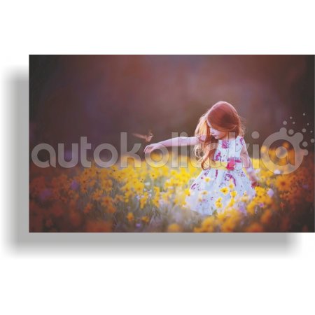 Πίνακας σε καμβά - Κορίτσι στη φύση