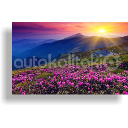 Πίνακας σε καμβά - Ηλιοβασίλεμα