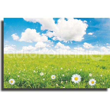 Πίνακας σε καμβά - Μαργαρίτες