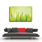 Πίνακας σε καμβά - Πασχαλίτσα