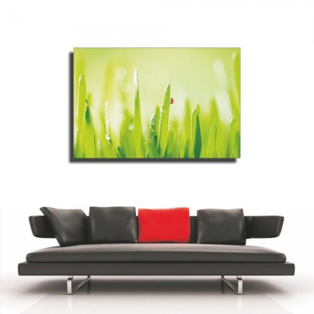 Πίνακας σε καμβά - Πασχαλίτσα