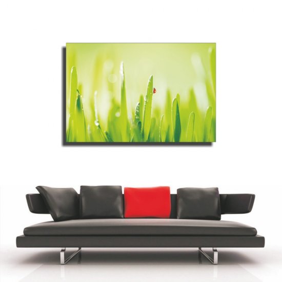 Πίνακας σε καμβά - Πασχαλίτσα