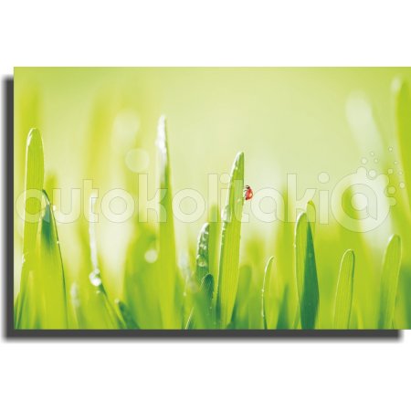 Πίνακας σε καμβά - Πασχαλίτσα