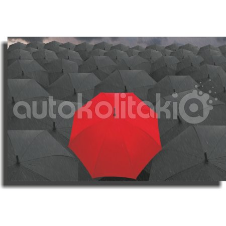 Πίνακας σε καμβά - Ομπρέλες