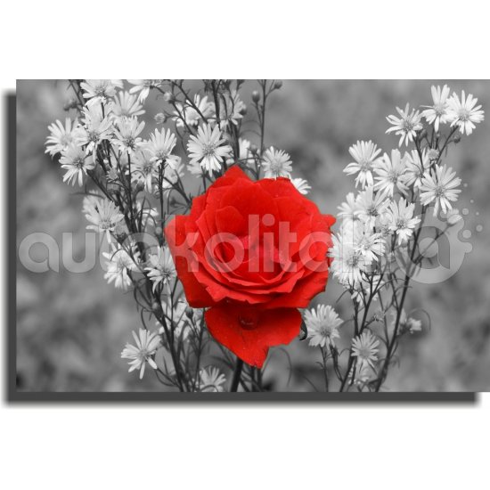 Πίνακας σε καμβά - Μπουκέτο από λουλούδια