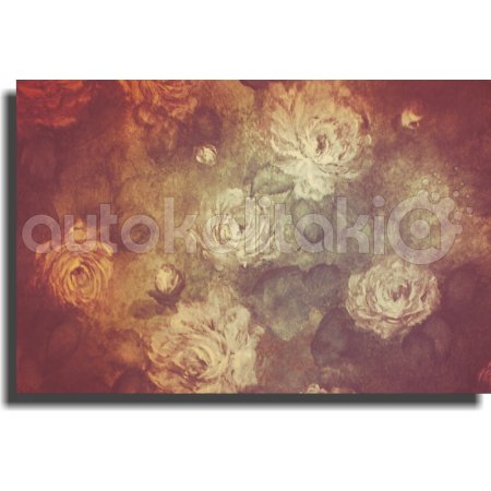 Πίνακας σε καμβά - Λευκά τριαντάφυλλα