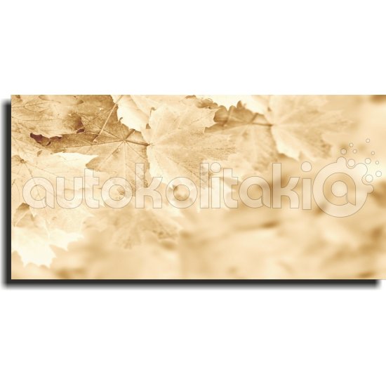 Πίνακας σε καμβά - Φθινοπωρινά φύλλα Πίνακας σε καμβά - Φθινοπωρινά φύλλα