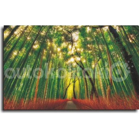 Πίνακας - Μονοπάτι στο δάσος