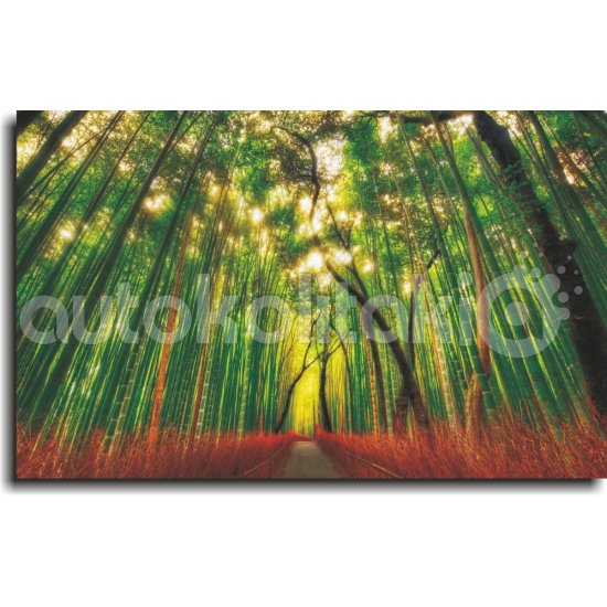 Πίνακας - Μονοπάτι στο δάσος