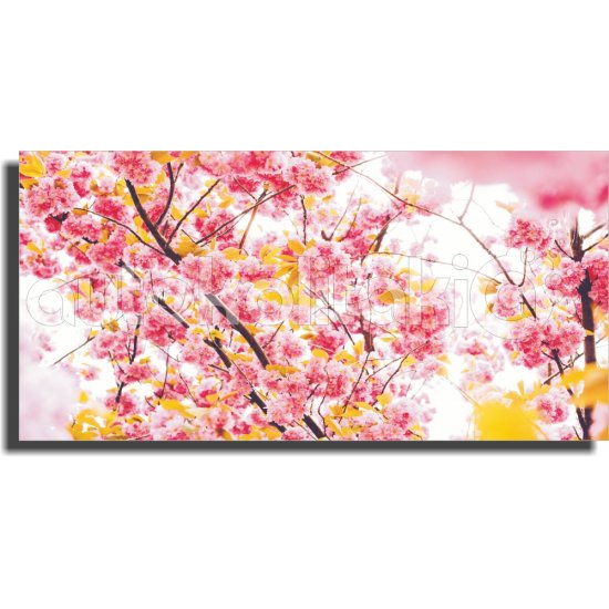 Πίνακας - Ανθισμένο δέντρο