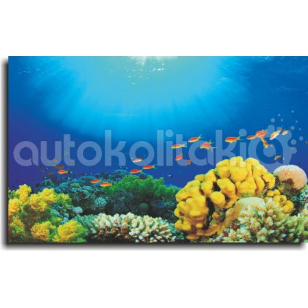 Πίνακας - Βυθός