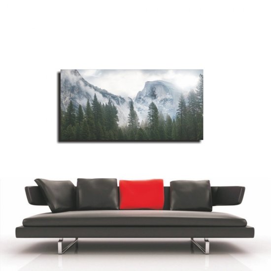 Πίνακας - Χιονισμένα όρη