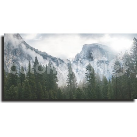 Πίνακας - Χιονισμένα όρη