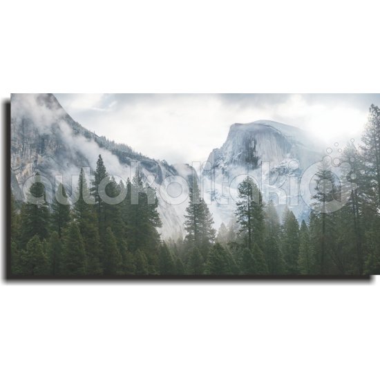 Πίνακας - Χιονισμένα όρη