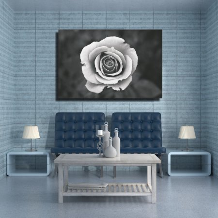 Πίνακας σε Καμβά - Ασπρόμαυρο Άνθος