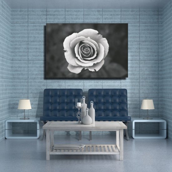 Πίνακας σε Καμβά - Ασπρόμαυρο Άνθος