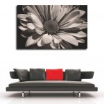 Πίνακας σε Καμβά - Ασπρόμαυρος Ιλίανθος