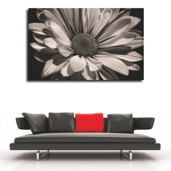 Πίνακας σε Καμβά - Ασπρόμαυρος Ιλίανθος