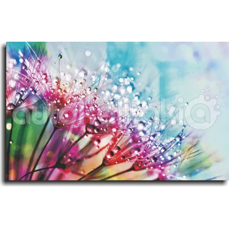 Πίνακας σε Καμβά - Πολύχρωμα Λουλούδια