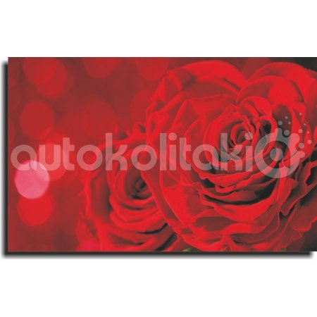 Πίνακας σε Καμβά - Κόκκινα Τριανταφυλλα