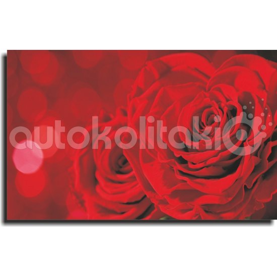 Πίνακας σε Καμβά - Κόκκινα Τριανταφυλλα
