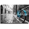 Πίνακας - τυπωμένος Σε Καμβά - Vitange ποδήλατο