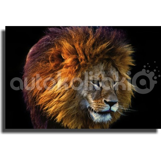 Πίνακας σε καμβά - Άγρια φύση 5