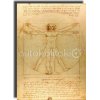 Πίνακας - Αντίγραφο - Vitruvian Man - Leonardo da Vinci