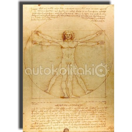 Πίνακας - Αντίγραφο - Vitruvian Man - Leonardo da Vinci Πίνακας - Αντίγραφο - Vitruvian Man - Leonardo da Vinci