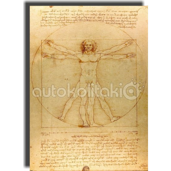 Πίνακας - Αντίγραφο - Vitruvian Man - Leonardo da Vinci