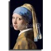 Πίνακας - Αντίγραφο - Girl with a Pearl Earring - Johannes Vermeer