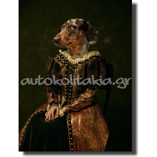 Πίνακας - Τυπωμένος Σε Καμβά - Σκύλος 2