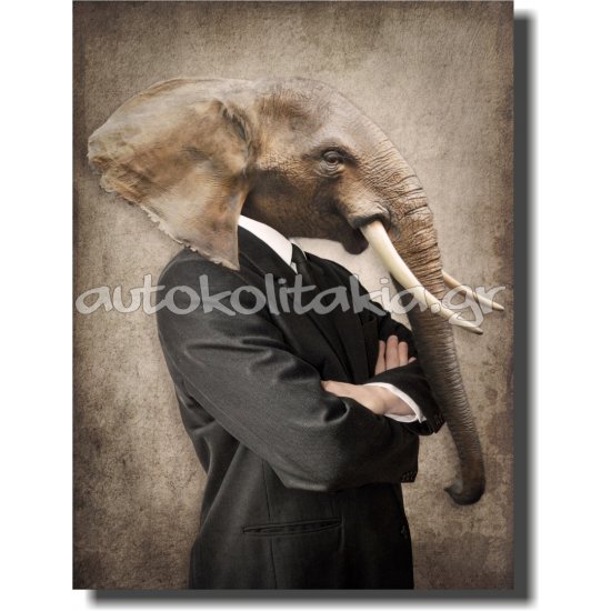 Πίνακας - Τυπωμένος Σε Καμβά - Ελέφαντας