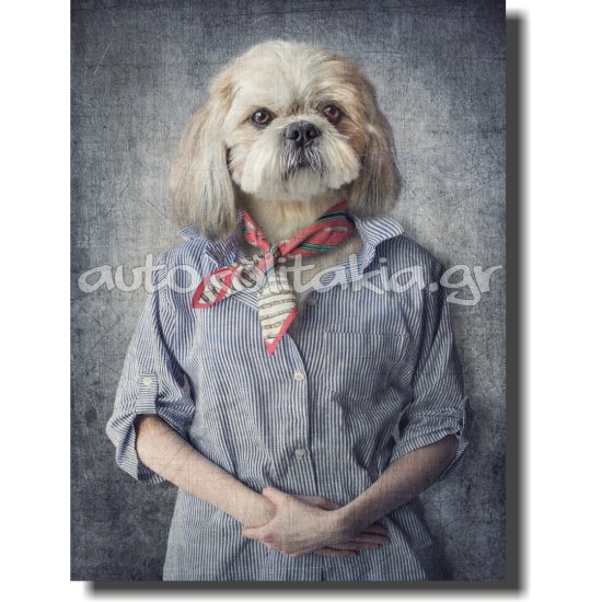 Πίνακας - Τυπωμένος Σε Καμβά - Σκύλος 6