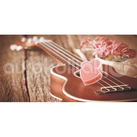 Πίνακας - Μουσική ερωτευμένων