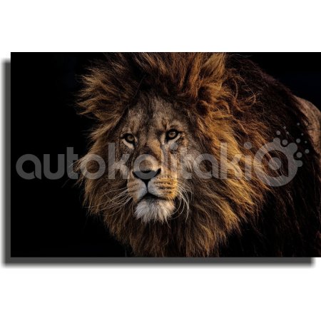 Πίνακας σε καμβά - Άγρια φύση