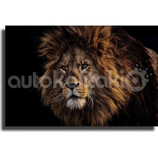 Πίνακας σε καμβά - Άγρια φύση