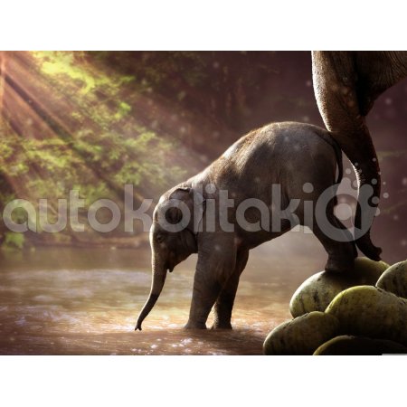 Πίνακας σε καμβά - Άγρια φύση 3