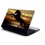 Αυτοκόλλητο Laptop - Άλογο