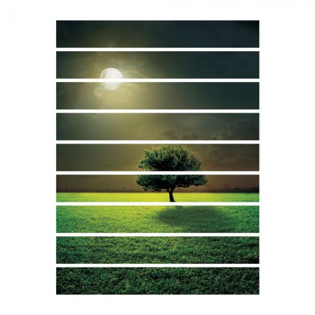 Αυτοκόλλητο σκάλας (Τιμή ανά τεμάχιο) - Δέντρο τη νύχτα